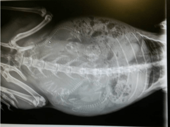 Screen Shot 2016-01-09 at 2.03.15 PM